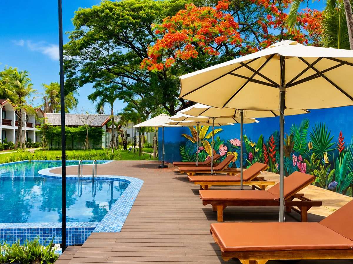 The swimming pool with timber loungers and parasols beneath a flowering flame tree